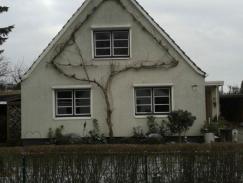 sprossenfenster-aus-holz-nachher