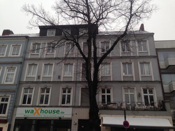 fenster-vorher