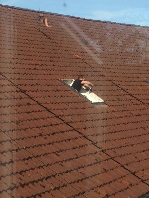 velux-austauschfenster-fuer-hotel-am-flughaften-hamburg-langenhorn