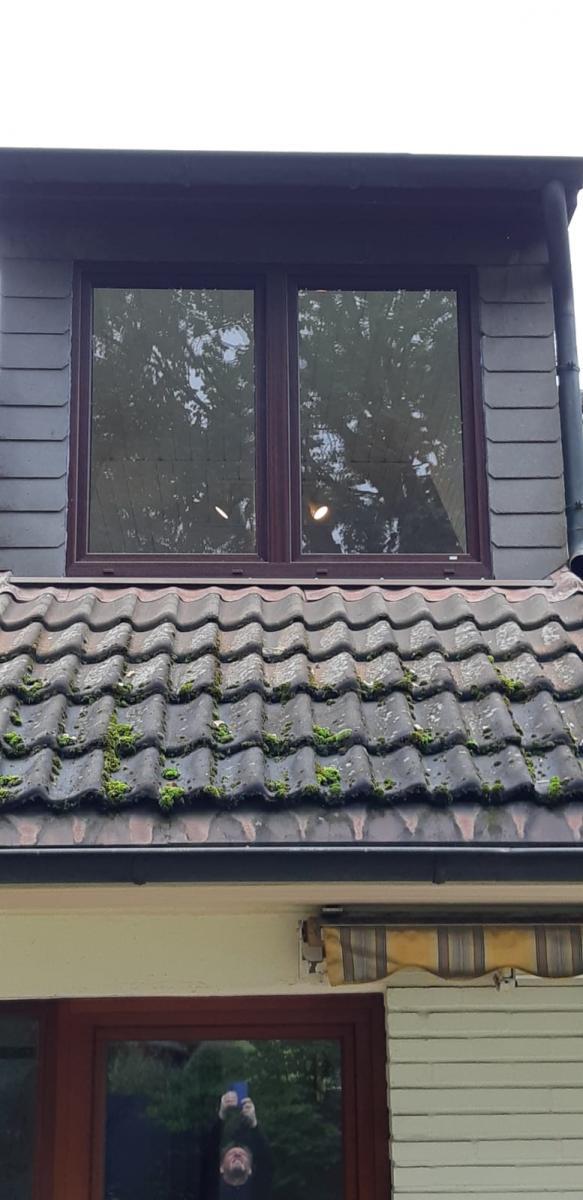 fenster-braun-nowakaussen