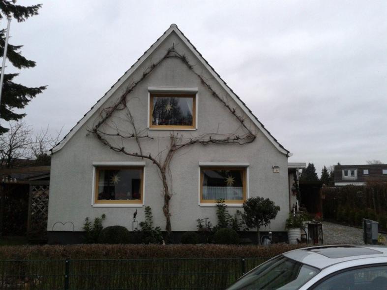 fenster-norderstedt-vorher
