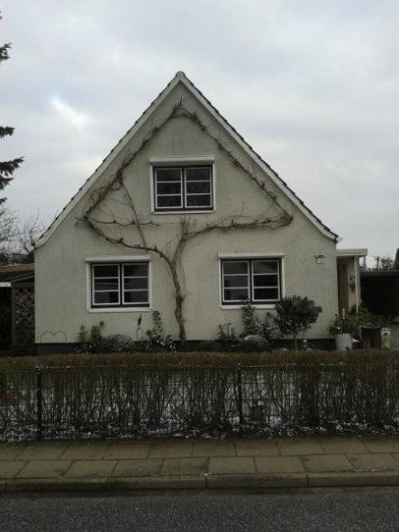 sprossenfenster-aus-holz-nachher