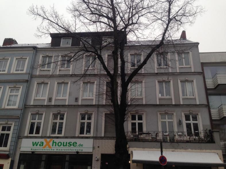 fenster-vorher